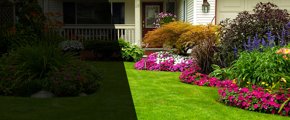 Brookfield Landscapers